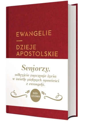 Ewangelie i Dzieje Apostolskie DL - praca zbiorowa