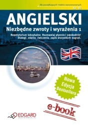 eBook Angielski. Niezbędne zwroty i wyrażenia - Jakub Bero, Katarzyna Wiśniewska epub mobi