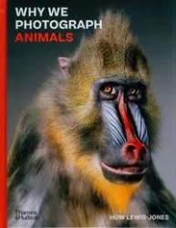 Why We Photograph Animals - Lewis-Jones Huw