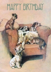 Karnet B6 z kopertą Urodziny Psy na fotelu - Madame Treacle