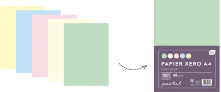 Papier ksero A4/100 5 kolorów Pastel x 20K - INTERDRUK