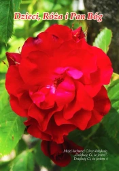 eBook Dzieci, Róża i Pan Bóg - Zygmunt Bołoz epub mobi