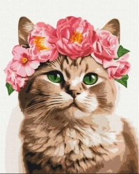 Malowanie po numerach - Wyrafinowany kotek 40x50cm - Twoje Hobby