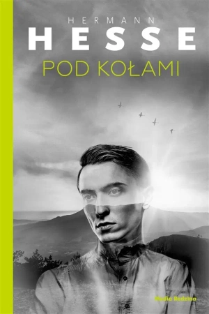 Pod kołami - Hermann Hesse, Elżbieta Ptaszyńska Sadowska