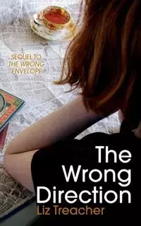 The Wrong Direction - Liz Treacher