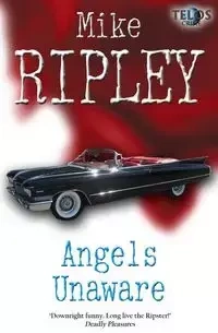 Angels Unaware - Mike Ripley