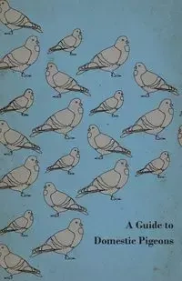 A Guide to Domestic Pigeons - With Chapters on Doves, Training and Their Habits - Anon