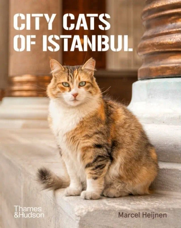 City Cats of Istanbul - Marcel Heijnen