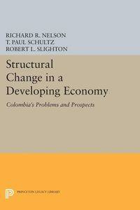 Structural Change in a Developing Economy - R. Nelson Richard