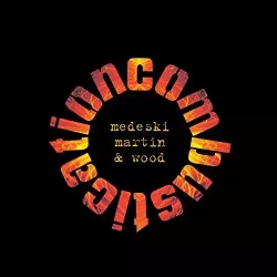 Combustication, Winyl