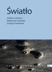 Światło. Przyczynek do badań interdyscyplinarnych - red. Małgorzata Guławska, Grzegorz Pawłowski
