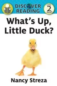 What's Up Little Duck - Nancy Streza