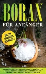 Borax für Anfänger - Sebastian Löwenthal