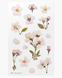 Naklejki ozdobne kwiaty - Wiśnia - Appree