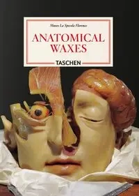 Anatomical Waxes. 45th Ed. - Marta Poggesi