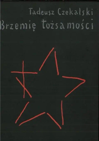 Brzemię tożsamości. Kościoły prawosławne na... - Tadeusz Czekalski
