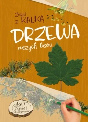 Drzewa naszych lasów. zeszyt z kalką - Andżelika Bielańska