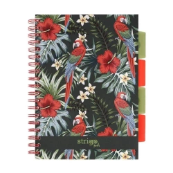 Kołozeszyt Pads B5/100K kratka Tropiki Papuga - Strigo