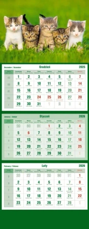 Kalendarz 2026 trójdzielny Koty - praca zbiorowa