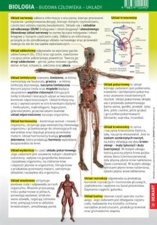 Ściągawka - Biologia - Budowa człowieka, układy - praca zbiorowa