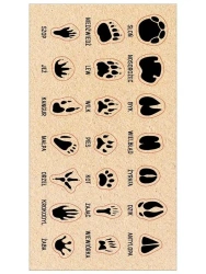 Naklejki Ślady zwierząt - Ranok-Creative