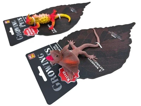 Jaszczurka MIX - ADAR