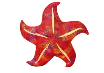 Poduszka pluszowa rozwgwiazda czerwona 20cm - Leantoys