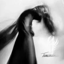 Looking For Transcendence, CD