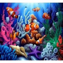 Mozaika diamentowa 5D - Rafa 40x30cm - Titanum