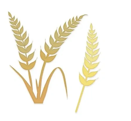 Zestaw wykrojników kłosy pszenicy 2szt - Dalprint dpCraft