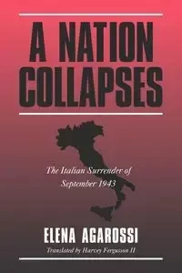 A Nation Collapses - Aga Elena Rossi