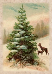 Karnet ST486 B6 + koperta Święta Choinka i sarny - Skona Ting