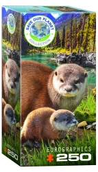 Puzzle 250 Otters 8251-5558 - Eurographics