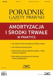 eBook Amortyzacja i środki trwałe w praktyce - Infor Pl