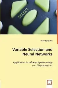 Variable Selection and Neural Networks - Benoudjit Nabil