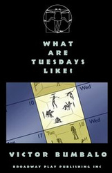 What Are Tuesdays Like? - Victor Bumbalo