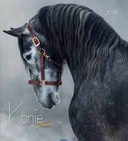 Kalendarz 2026 ścienny 32x32cm Konie - AVANTI