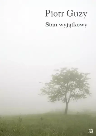 Stan wyjątkowy - Piotr Guzy
