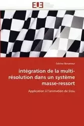 Intégration de la multi-résolution dans un système masse-ressort - BENAMEUR-S