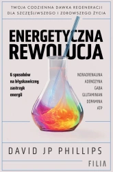 Energetyczna rewolucja - David JP Phillips