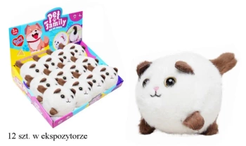 Kotek skaczący - SWEDE