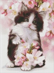 Diamentowa mozaika - Puszysty kotek 30x40cm - Ideyka