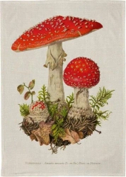 Ręcznik kuchenny - Muchomor - Skona Ting