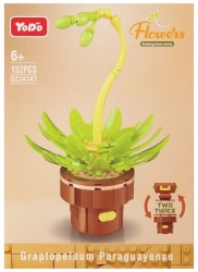 Klocki Konstrukcyjne Kwiat 152 Elementy Mega Creative 570813