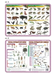 Podkładka edu. 019 - Ssaki, płazy i gady... - Visual System