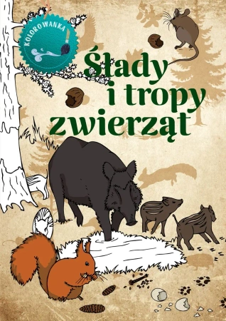 Ślady i tropy zwierząt kolorowanka - Katarzyna Kopiec Sekieta