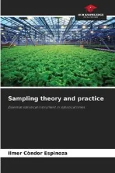 Sampling theory and practice - Condor Espinoza Ilmer