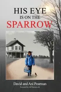 His Eye Is On The Sparrow - David Pearman