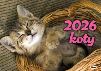 Kalendarz 2026 albumowy Koty KA2 - praca zbiorowa