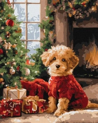 Malowanie po numerach - Pudel przy choince 40x50cm - Ideyka